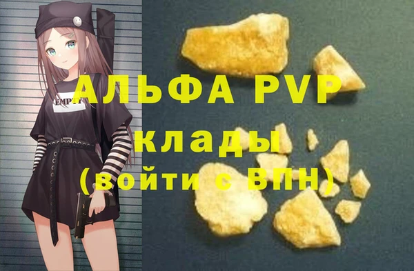 индика Бородино